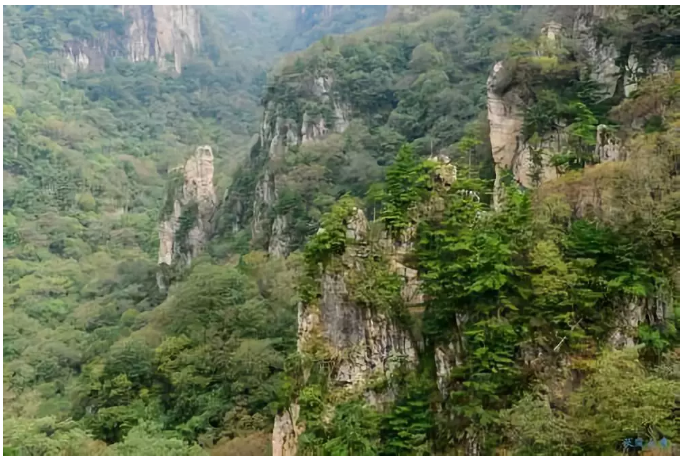 沿途美景